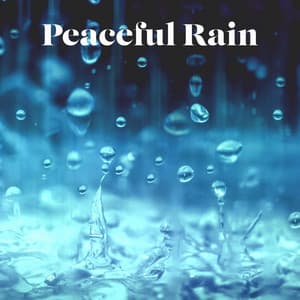 Peaceful Rain - Peaceful Ambient
