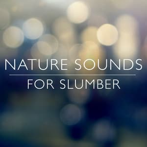 Nature Sounds for Slumber - Nature Sounds Relaxing