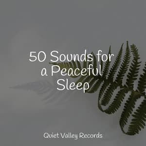 50 Sounds for a Peaceful Sleep - Meditation Relaxation Club