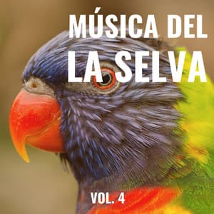1 Música de la Naturaleza de la Selva para Relajarse Totalmente pt. 2 - Pajaros del Bosque