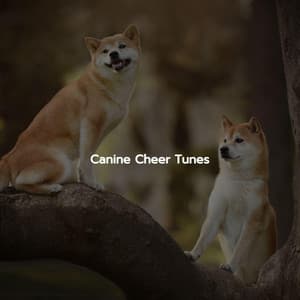 Canine Cheer Tunes - Restaurant Music Lounge