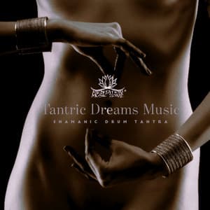 Shamanic Drum for Meditation: Tantric Dreams Music - Forest Winstone