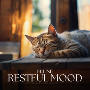 Feline Restful Mood - Sleepy Cats