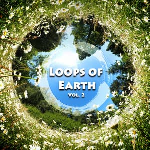 Loops of Earth Vol. 2 - Zen Loops