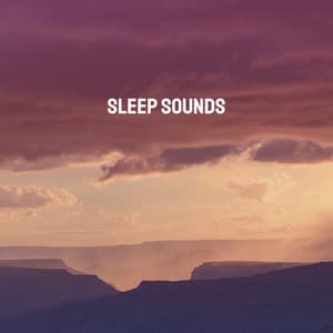 Sleep Sounds - Relaxing Rain Sounds