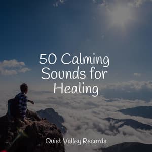 50 Calming Sounds for Healing - Chillout Lounge
