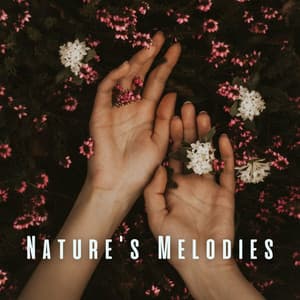 Nature's Melodies: Serene Massage Experience with Chill Sounds - Gentle Outdoors