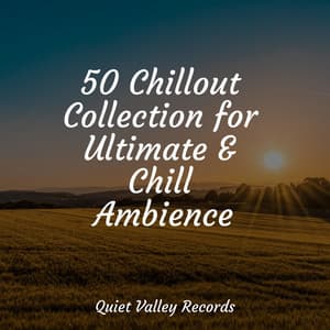 50 Chillout Collection for Ultimate & Chill Ambience - Wellness