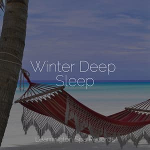 Winter Deep Sleep - Serenity Spa Music Relaxation