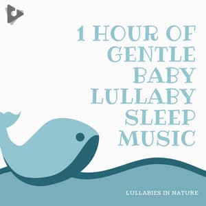 1 Hour of Gentle Baby Lullaby Sleep Music - Lullabies In Nature