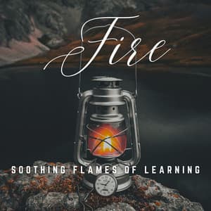 Burning Focus: Study with Firelight - Fireplace Sample Master