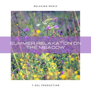 Summer Relaxation On The Meadow - Total Relax