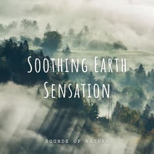 Sounds of Nature: Soothing Earth Sensation - Hotel Chillout Lounge