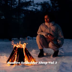 Bonfire Sound for Sleep Vol. 1 - Sleepy Cats