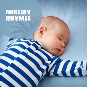 Aves - Canciones Infantiles Bebe TaTaTa