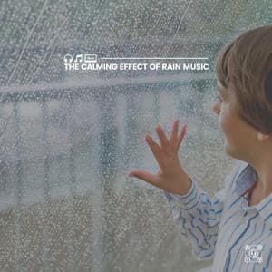 The Calming Effect of Rain Music - Rain Radiance