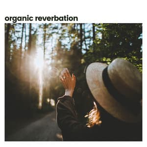 Organic Reverberation - Weather and Nature Recordings