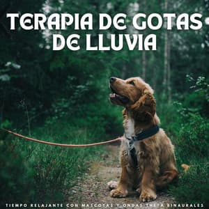 Terapia De Gotas De Lluvia: Tiempo Relajante Con Mascotas Y Ondas Theta Binaurales - Reiki para animales