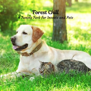 Forest Chill: A Tuning Fork for Insects and Pets - Nature Sounds Paradise