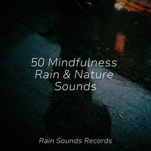 50 Mindfulness Rain & Nature Sounds - Sonidos de la Naturaleza Relajacion
