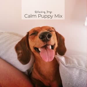 Calm Puppy Mix - Relaxing Dogs