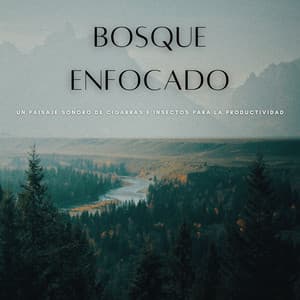 Bosque Enfocado: Un Paisaje Sonoro De Cigarras E Insectos Para La Productividad - Sonidos Del Bosque