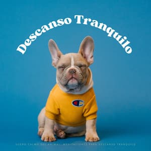 Sueño Calmo Del Animal: Meditaciones Para Descanso Tranquilo - In Sonus 360