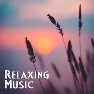 Serenity - Spa Relaxing Music