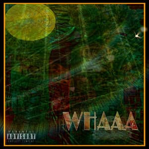 Whaaa - Splish Splash