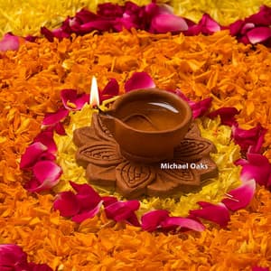 Colors of Rangoli - Michael Oaks