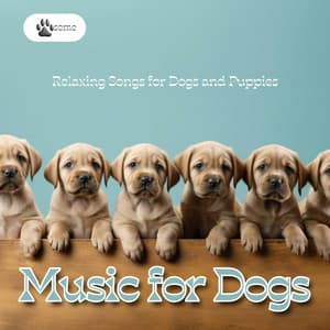 Music for Dogs - Relaxing Songs for Dogs and Puppies - PAWsome