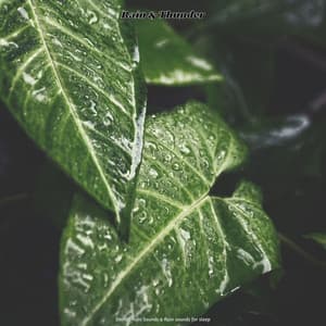 Rain & Thunder - Derrol