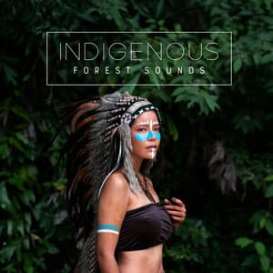 Indigenous Forest Sounds: Shamanic Drums, Native American Flute, Sounds of Nature - Native Meditation Zone