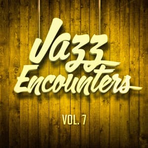 Jazz Encounters: The Finest Jazz You Might Have Never Heard, Vol. 7 - New York Jazz Lounge