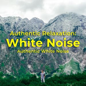 Authentic Relaxation: White Noise - Authentic White Noise