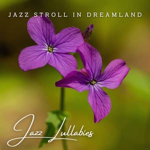 Jazz Lullabies: Cafe Lounge Serenades - Soft Cafe Lounge