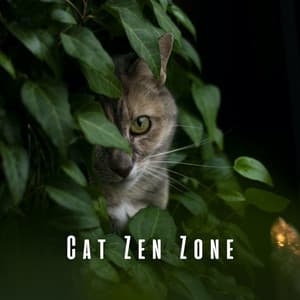 Cat Zen Zone: Chill Nature and Binaural Sounds - Vibrations of Nature