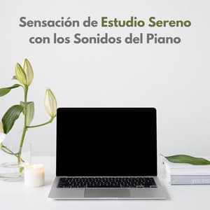 Sensación De Estudio Sereno Con Los Sonidos Del Piano - Salón con piano bar