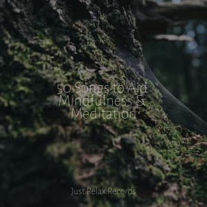 50 Songs to Aid Mindfulness & Meditation - Bedtime Lullabies