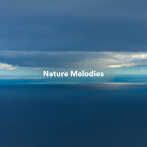 Nature Melodies - Bruit De La Mer