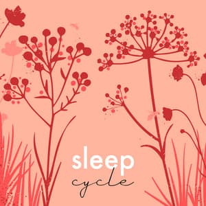 Música para concentración meditativa - Canciones Infantiles Bebe TaTaTa