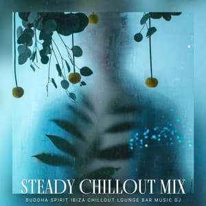 Steady Chillout Mix - Buddha Spirit Ibiza Chillout Lounge Bar Music DJ