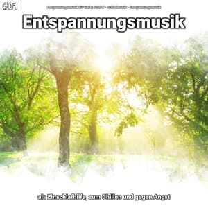 #01 Entspannungsmusik als Einschlafhilfe, zum Chillen und gegen Angst - Entspannungsmusik für tiefen Schlaf