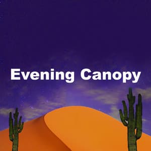 Evening Canopy - Spa