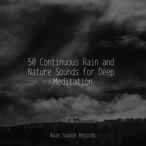 50 Continuous Rain and Nature Sounds for Deep Meditation - Bird Sounds