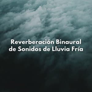 Reverberación Binaural De Sonidos De Lluvia Fría - Realidad Binaural