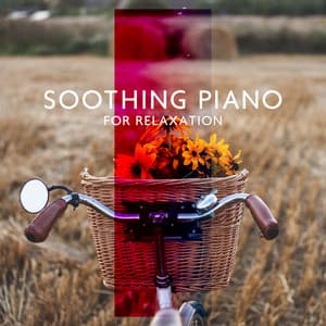SoothingPianofor Relaxation: White Noise and Piano for Focus, Peaceful Relaxing Music to Stop Overthinking, #Relaxing Songs for Sleep - Gentle Instrumental Music Paradise
