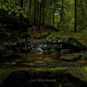 Spa Relaxation Sounds | Chill Ambience - New Age