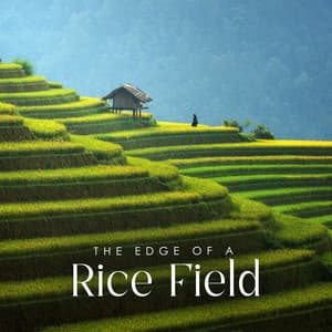 The Edge of a Rice Field: Chinese New Age Music Mix - World Music For The New Age