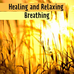 Healing and Relaxing Breathing – Mindfulness of Nature, Reduce Stress, Deep Breath Techniques, Energize Body and Clearing Mind - Relieving Stress Music Collection